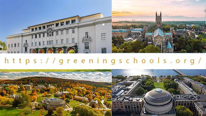 Best Non-Ivy League Schools