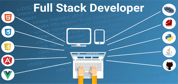 Full-stack developer